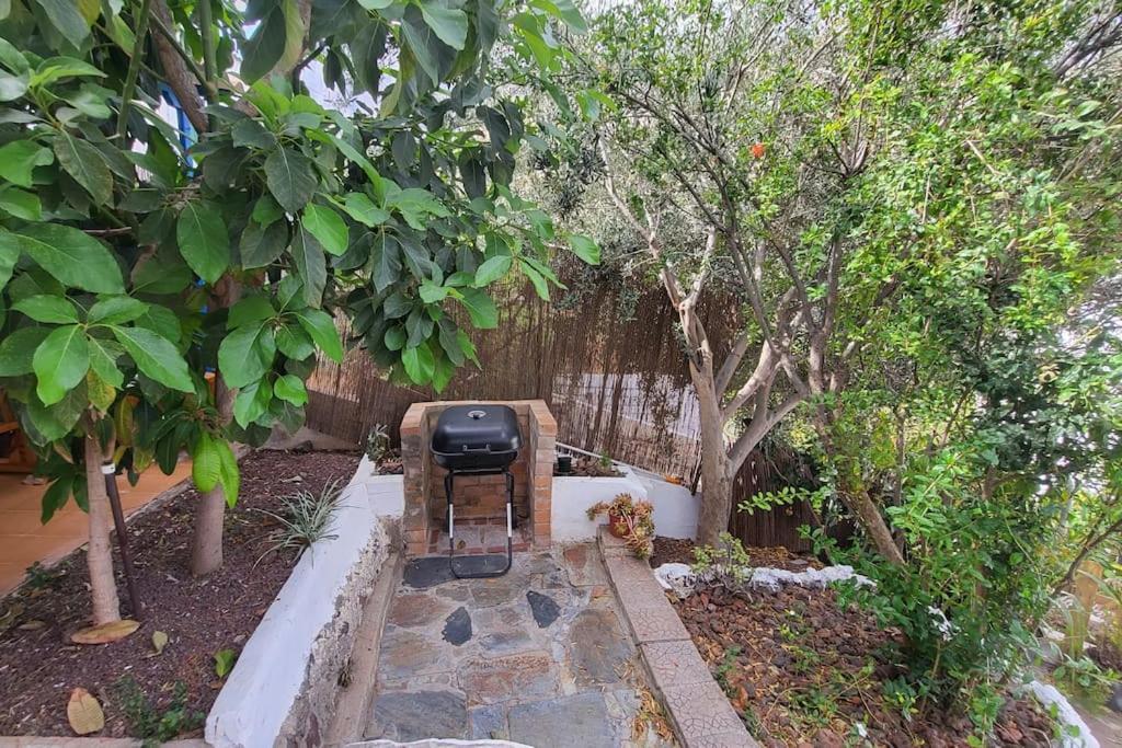 Casa Mimosa With Private Pool & Garden Villa อากาเอเต ภายนอก รูปภาพ